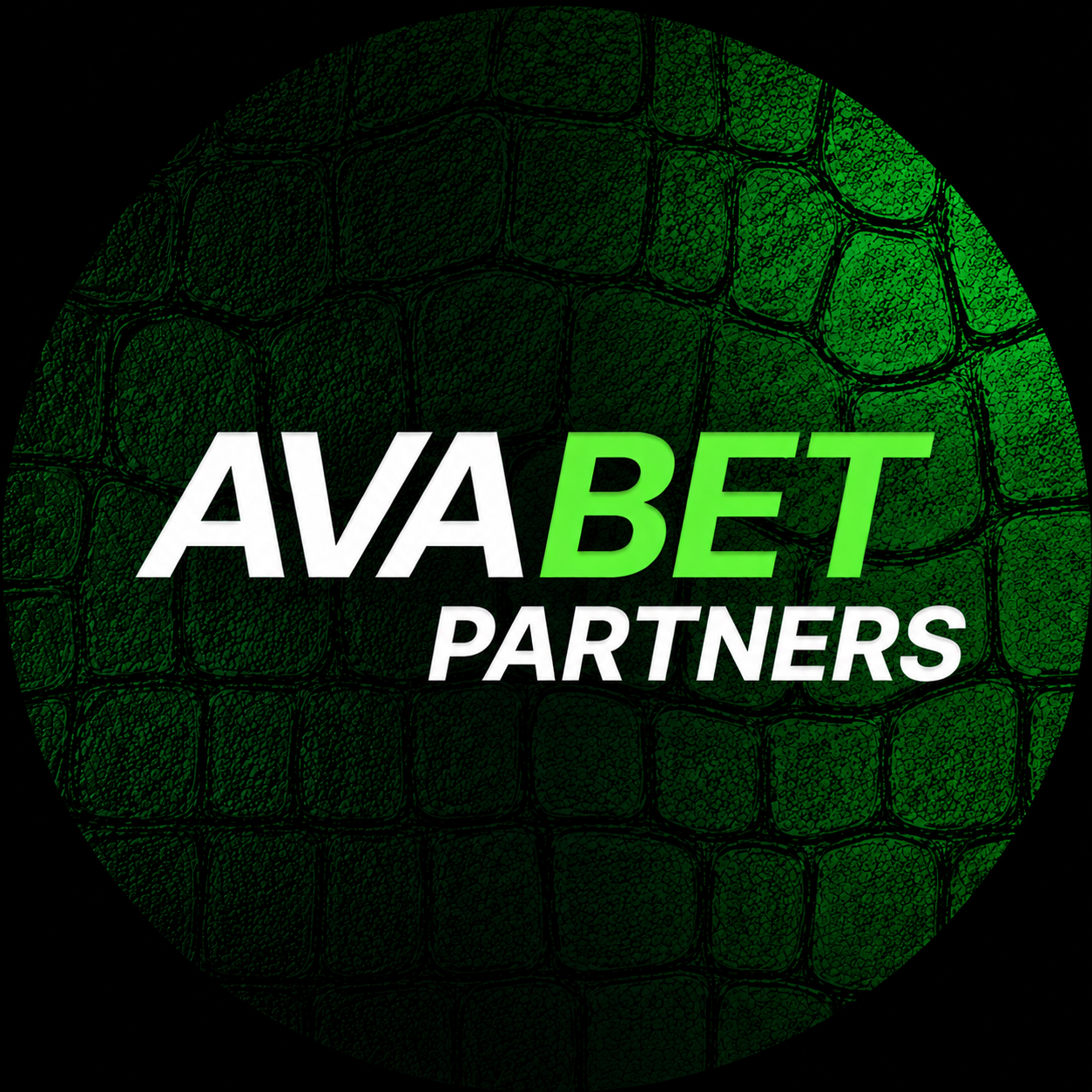 AvaBet Partners