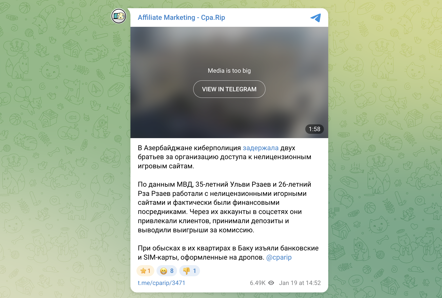 Как 2026 год стал годом задержаний для оффшорного iGaming бизнеса