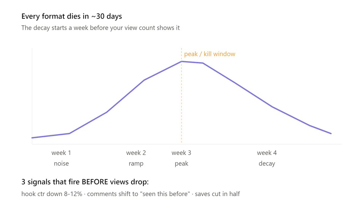 30 млрд просмотров на УБТ: как AFNW работает с органическим трафиком